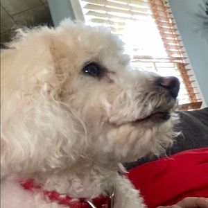 Meet your Posher, Macey